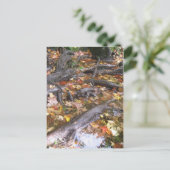 herfstmug briefkaart (Staand voorkant)