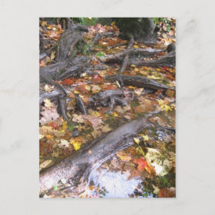 herfstmug briefkaart