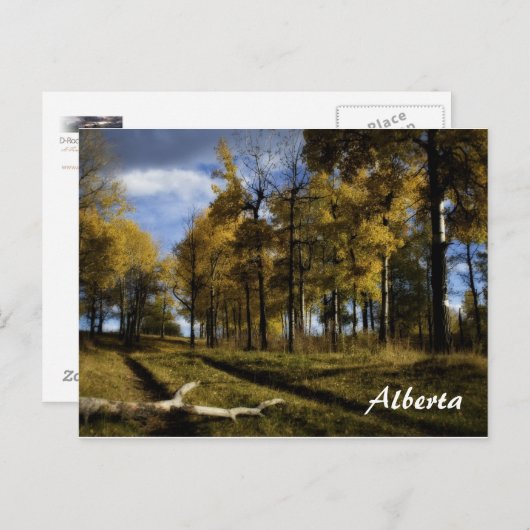 herfstnamiddag, Alberta Briefkaart (Voorkant / Achterkant)