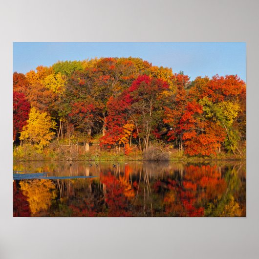 Herfstochtend in Marthaler Park en Pond Poster (Voorkant)