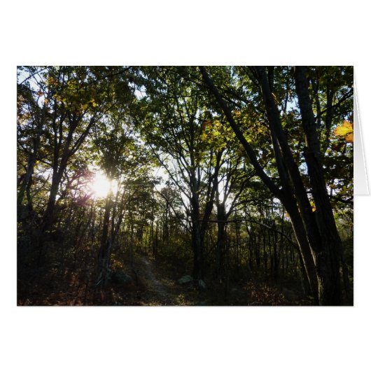 Herfstochtend in Shenandoah National Park (Voorkant Horizontaal)