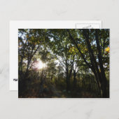 Herfstochtend in Shenandoah National Park Briefkaart (Voorkant / Achterkant)