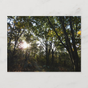 Herfstochtend in Shenandoah National Park Briefkaart