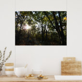 Herfstochtend in Shenandoah National Park Poster (Keuken)