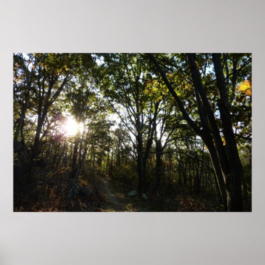Herfstochtend in Shenandoah National Park Poster (Voorkant)