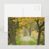 Herfstpad Briefkaart (Voorkant / Achterkant)