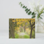 Herfstpad Briefkaart (Staand voorkant)