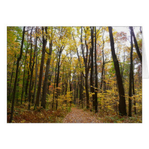 Herfstpad en gouden bladeren in Laurel Hill Park