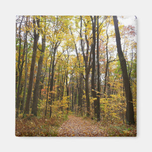 Herfstpad en gouden bladeren in Laurel Hill Park Magneet