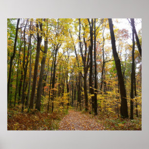 Herfstpad en gouden bladeren in Laurel Hill Park Poster