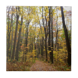 Herfstpad en gouden bladeren in Laurel Hill Park Tegeltje