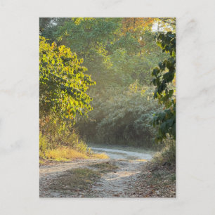 Herfstpad-fotokaart Briefkaart