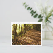 Herfstpad: Keswick Briefkaart (Staand voorkant)