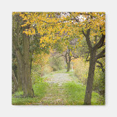 Herfstpad Magneet (Voorkant)