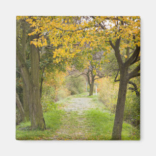 Herfstpad Magneet