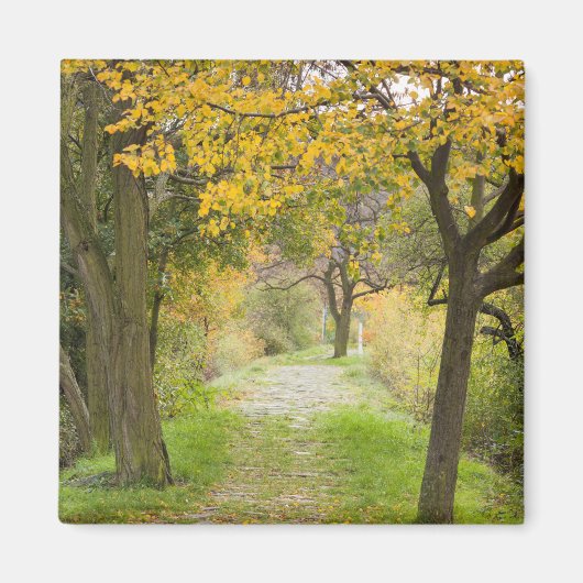 Herfstpad Magneet (Voorkant)
