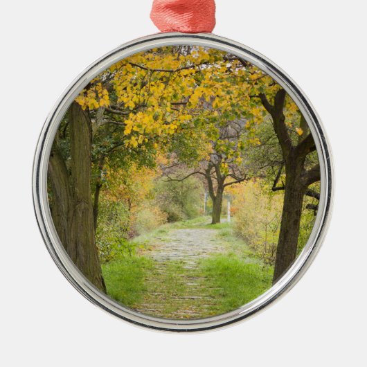Herfstpad Metalen Ornament (Voorkant)