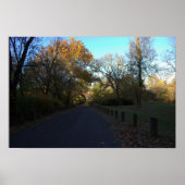 Herfstpad naar Arched Bridge Poster (Voorkant)