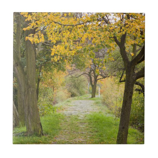 Herfstpad Tegeltje (Voorkant)