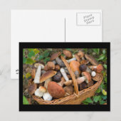 herfstpaddenstoelen briefkaart (Voorkant / Achterkant)