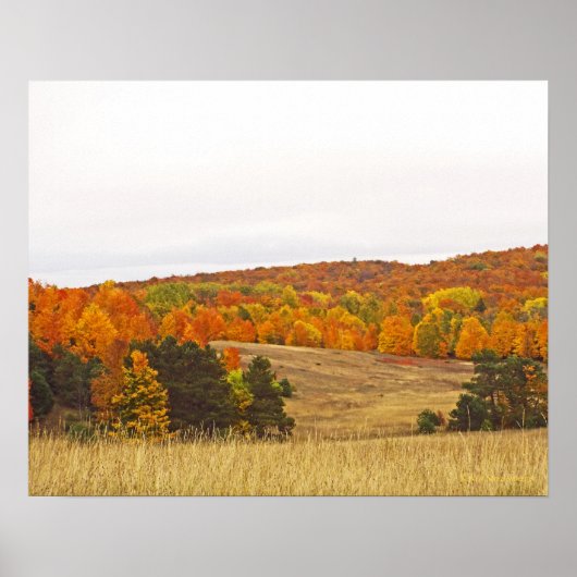 "HERFSTPALET / MICHIGAN PLATTELAND" POSTER (Voorkant)