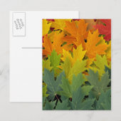 Herfstpatroon 2 briefkaart (Voorkant / Achterkant)