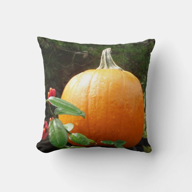 herfstpompoen op een zwart hek kussen (Voorkant)