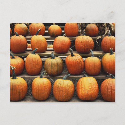 Herfstpompoenen Briefkaart (Voorkant)