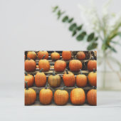 Herfstpompoenen Briefkaart (Staand voorkant)
