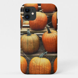 Herfstpompoenen Case-Mate iPhone Case