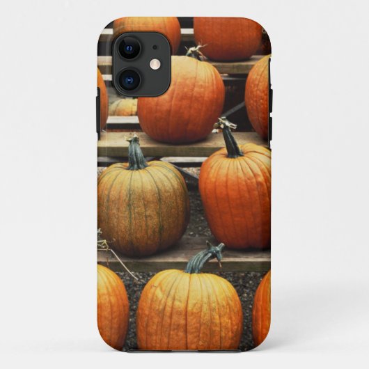 Herfstpompoenen Case-Mate iPhone Case (Achterkant)