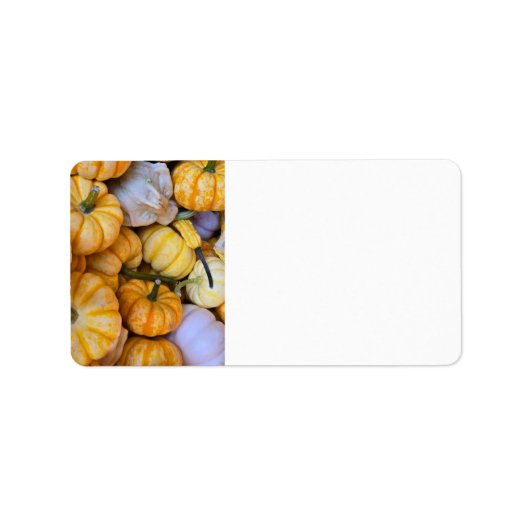 Herfstpompoenen en kalebassen etiket (Voorkant)