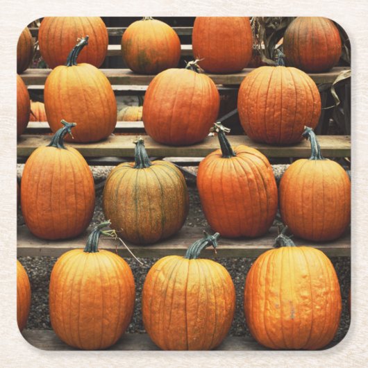 Herfstpompoenen Kartonnen Onderzetters (Voorkant)