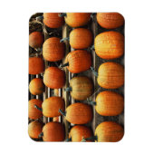 Herfstpompoenen Magneet (Verticaal)