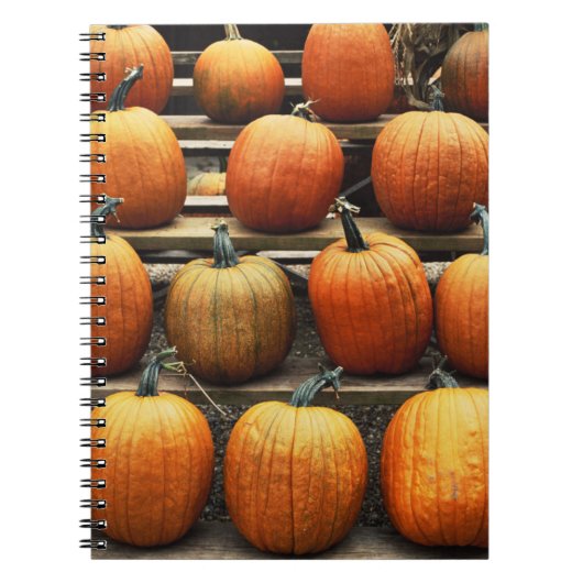 Herfstpompoenen Notitieboek (Voorkant)