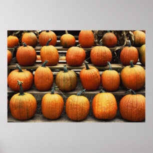 Herfstpompoenen Poster