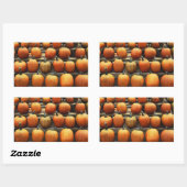 Herfstpompoenen Rechthoekige Sticker (Vel)