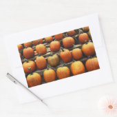 Herfstpompoenen Rechthoekige Sticker (Envelop)