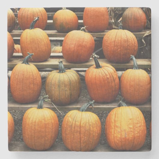 Herfstpompoenen Stenen Onderzetter (Voorkant)