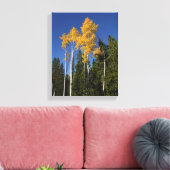 Herfstpracht in de Aspen Treetops Canvas Afdruk (Insitu (Woonkamer))