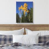 Herfstpracht in de Aspen Treetops Canvas Afdruk (Insitu (Slaapkamer))