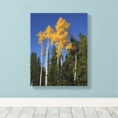 Herfstpracht in de Aspen Treetops Canvas Afdruk (Insitu (Houten vloer))