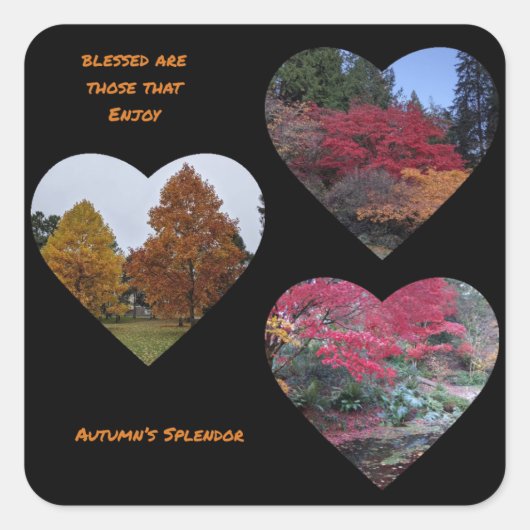 Herfstpracht sticker (Voorkant)