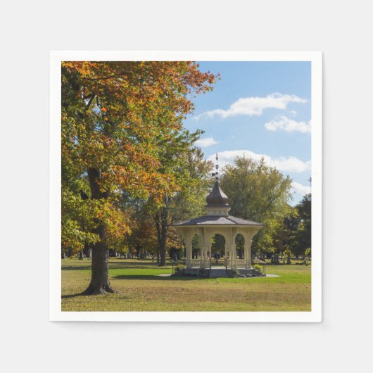 Herfstprieel in Maple Park Servet (Voorkant)