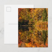 Herfstreflectie op Coffin Pond Briefkaart (Voorkant / Achterkant)