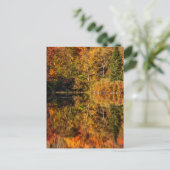 Herfstreflectie op Coffin Pond Briefkaart (Staand voorkant)