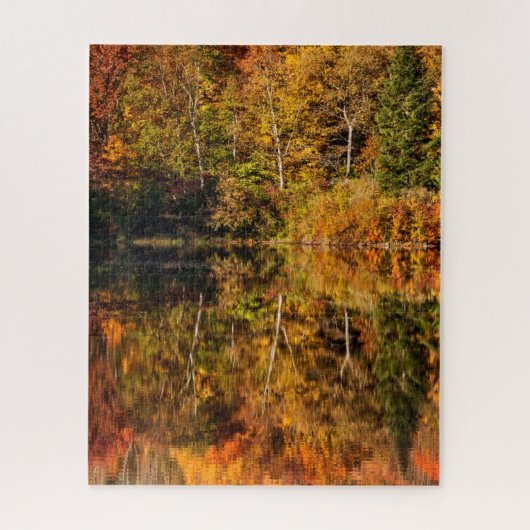 Herfstreflectie op Coffin Pond Legpuzzel (Verticaal)