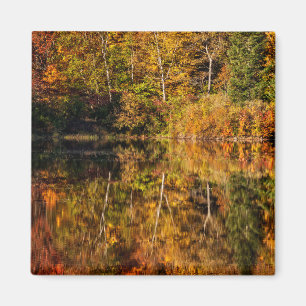 Herfstreflectie op Coffin Pond Magneet