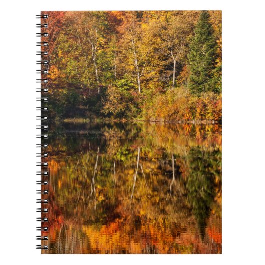 Herfstreflectie op Coffin Pond Notitieboek (Voorkant)