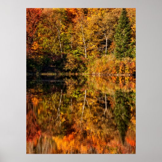 Herfstreflectie op Coffin Pond Poster (Voorkant)